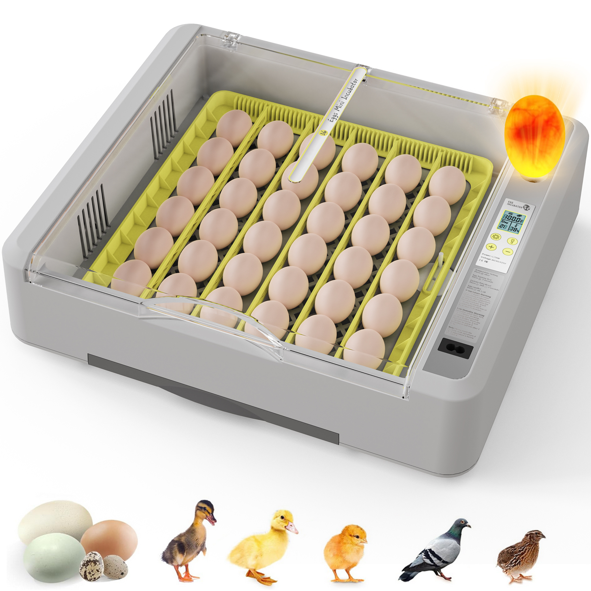 TEMU 36 Eggs Incubator For Hatching Chicks With Automatic Turner, Temperature Control & Humidity Display, With Hatch Days & Egg For Chicken, Duck,