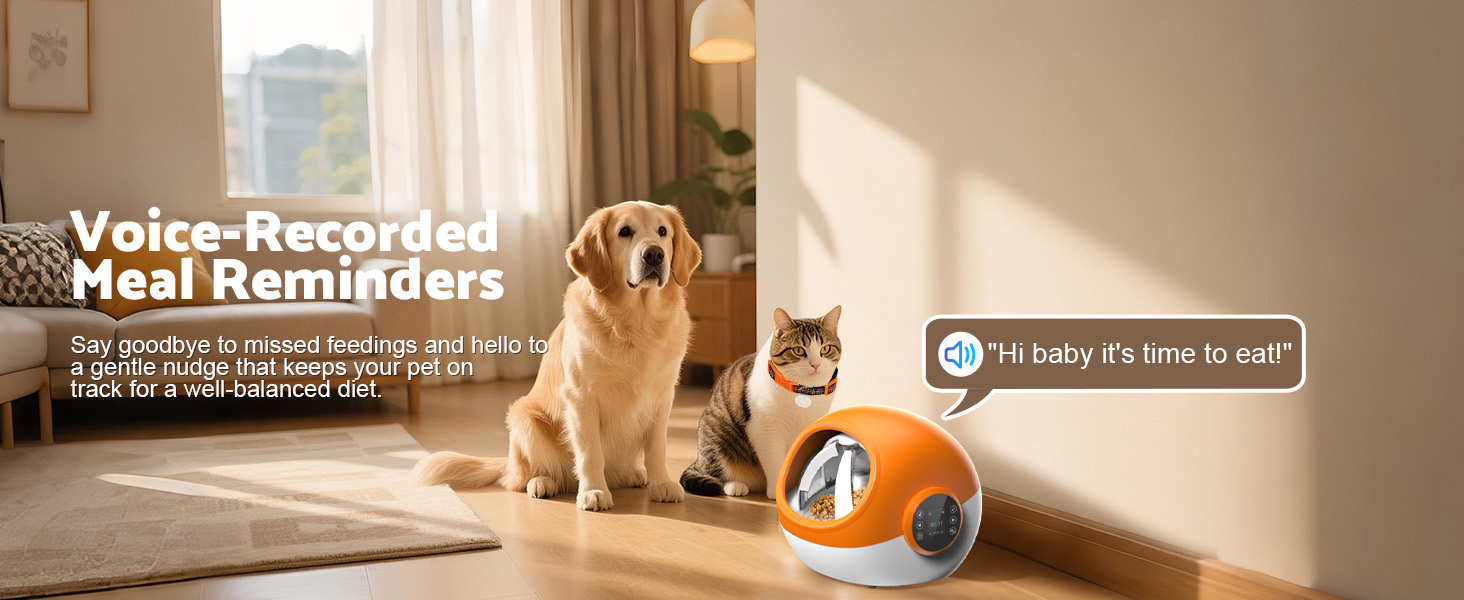 Advwin 2pcs Automatic RFID Cat Feeder With Collar Microchip Identification, Multi-Cat Compatible + 4 Feeding Modes, Supports Wet & Dry Food And Voice Recording