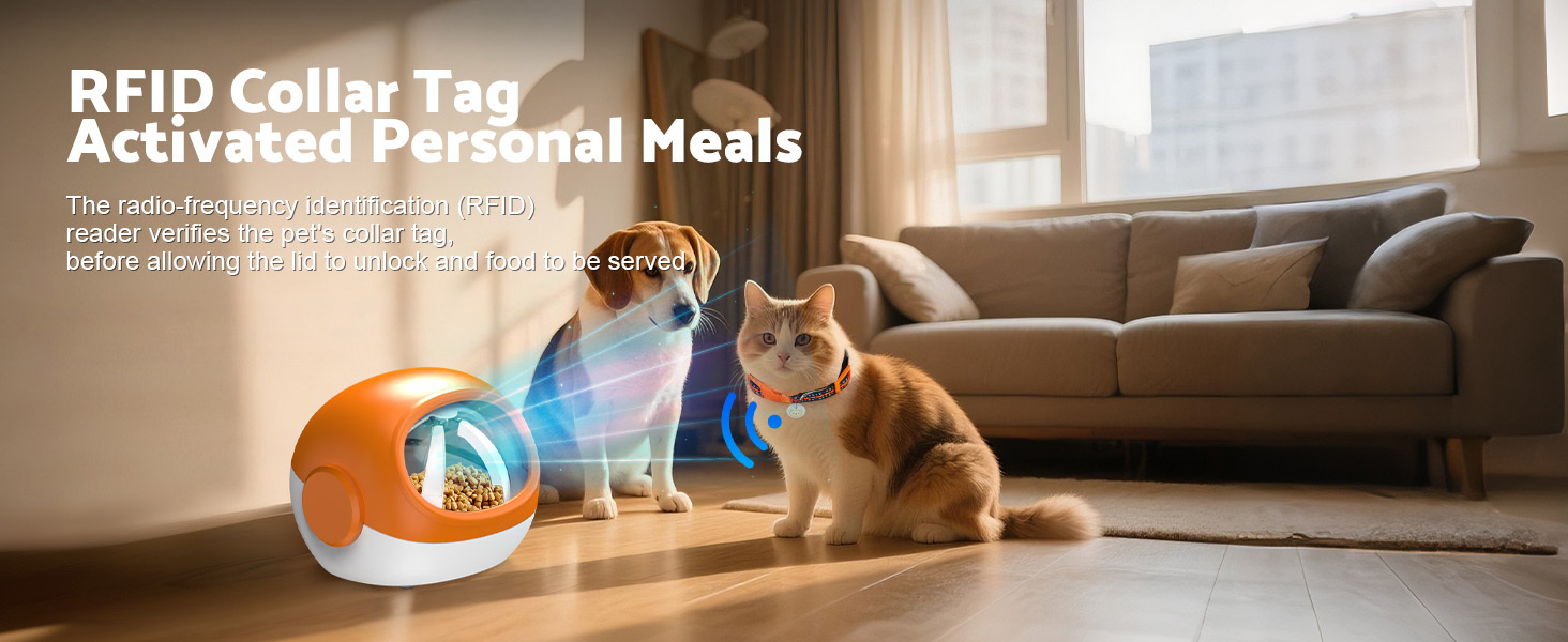Advwin 2pcs Automatic RFID Cat Feeder With Collar Microchip Identification, Multi-Cat Compatible + 4 Feeding Modes, Supports Wet & Dry Food And Voice Recording