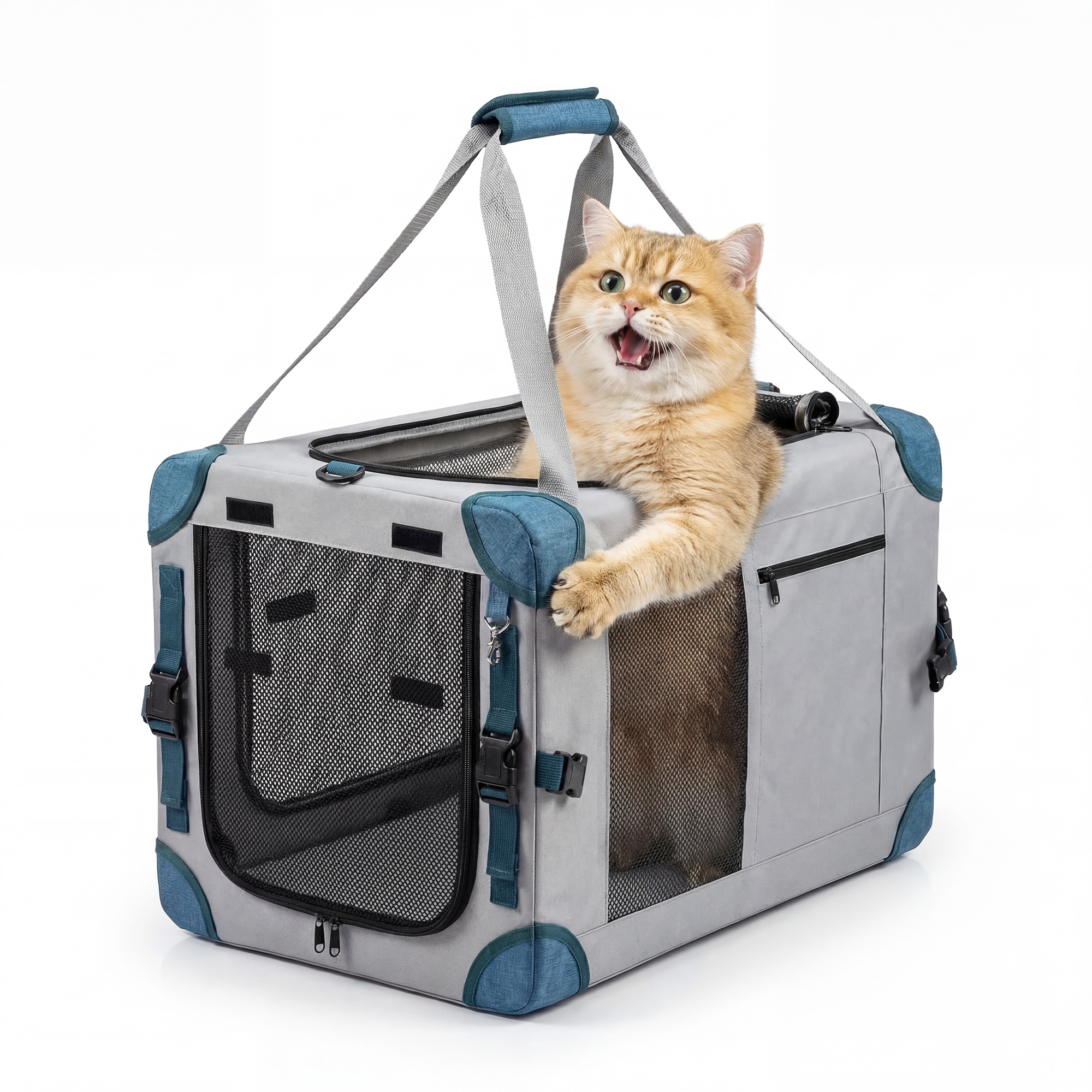 TEMU For Dogs Cats Foldable Portable Travel Bag Safety Durable Crate