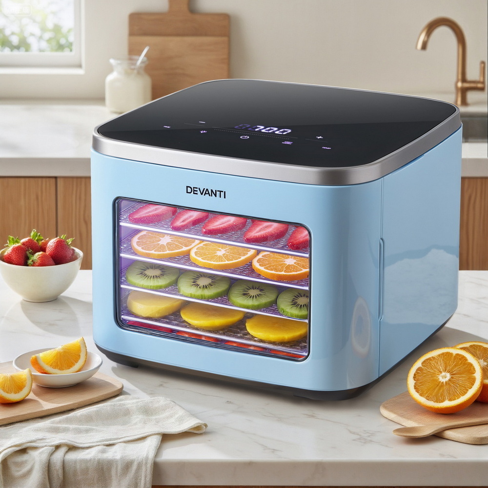 TEMU In Front Of 5 Trays Food Dehydrator Mini Fruit Dryer 500w Christmas