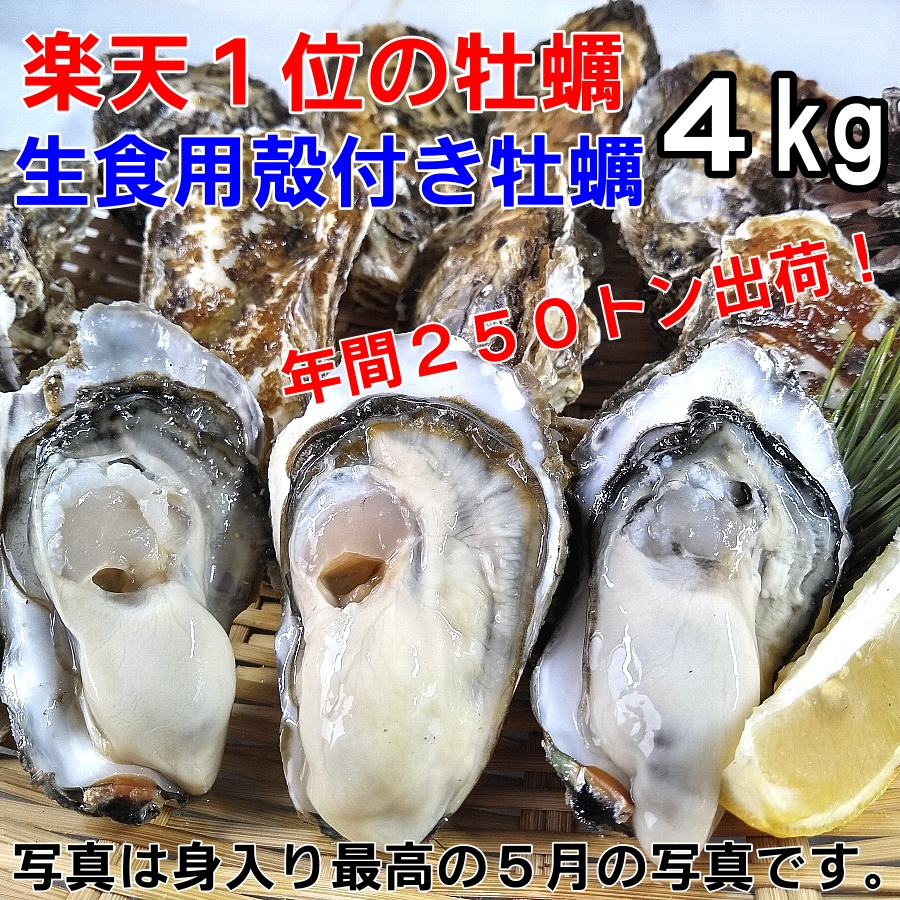     with shells 4kg 250     annually no 1 seller of shelled   on       ec no 1 and no 2 award     6 16   per 1kg     with shells   for   consumption oyster bbq   oyster shop seafood       from   oyster shop