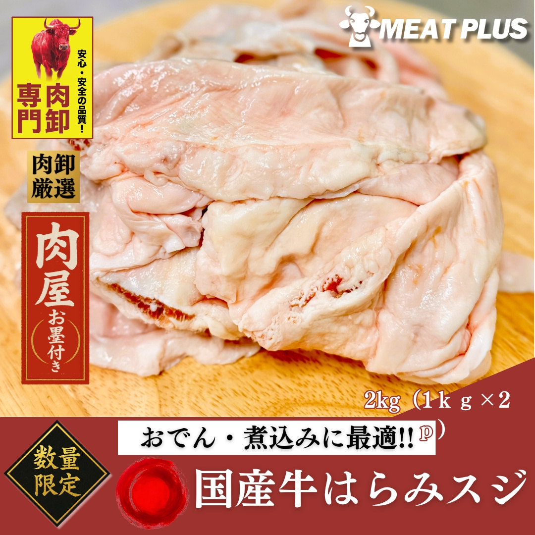 TEMU Domestic/kyushu Beef Skirt Meat Tendon/membrane (2kg, 4kg, 8kg) Frozen Delivery Beef Tendon Beef Tendon Mega Mori Oden, Stew, Curry, Etc.