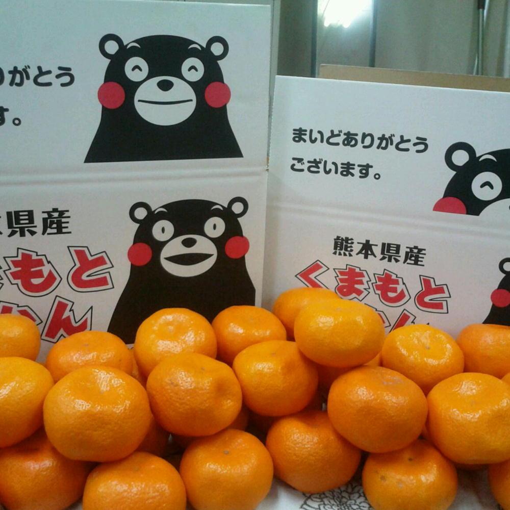 TEMU Large Capacity Approximately 15kg Kumamoto-grown Oranges For Home Use - Gourmet Citrus Fruits