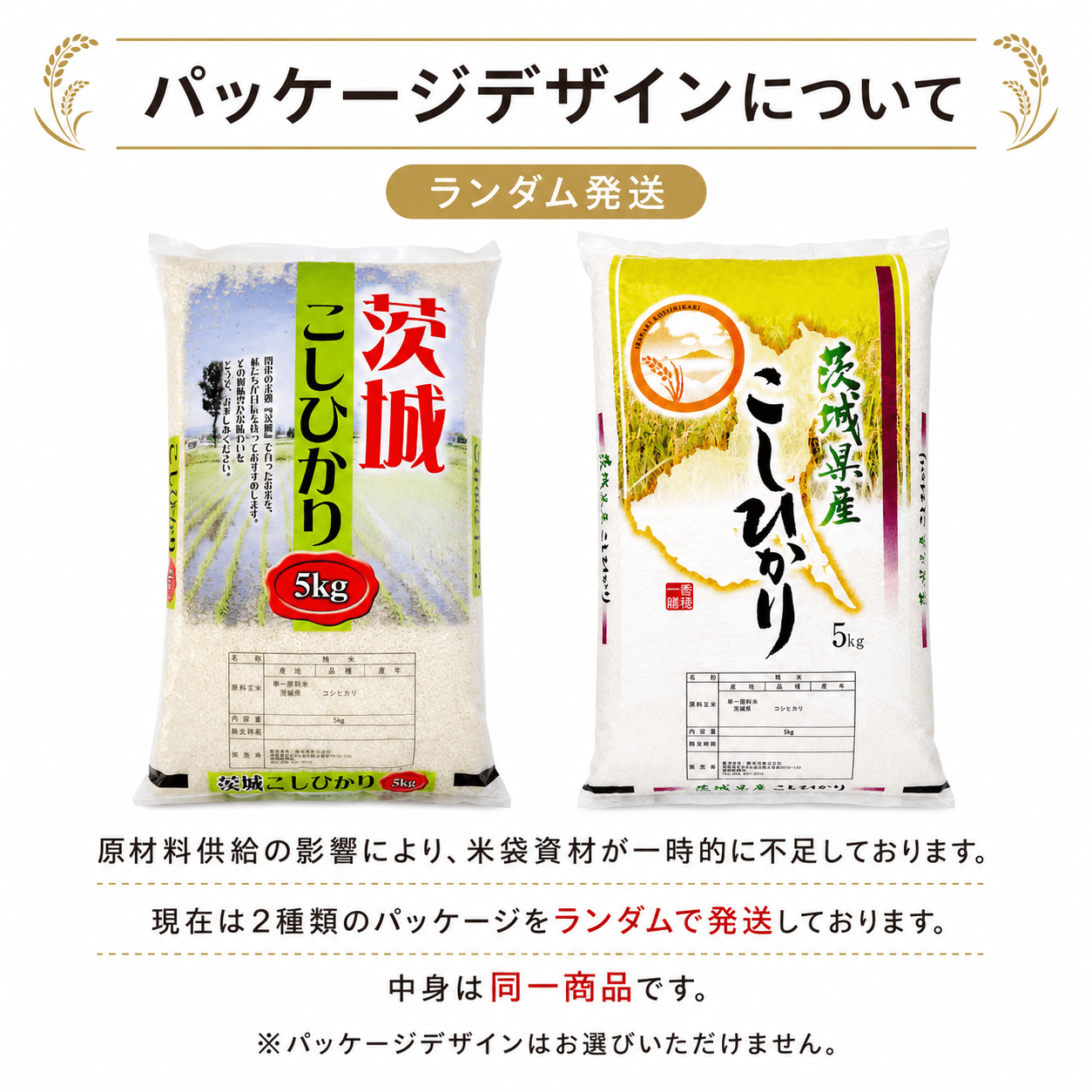 令和7年産 26年4月下旬精米 茨城県産   10kg 精米 新米 ふっくら あつあつ 家庭用 大容量 ご飯がおいしい甘み強い米 白米 お徳用  用 