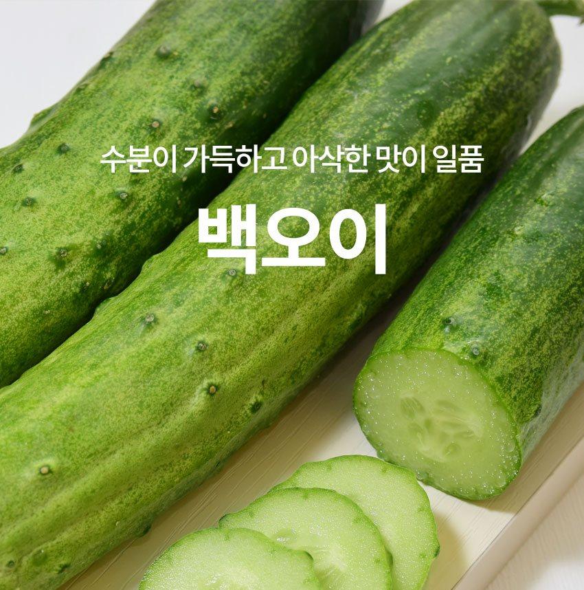 산지직송 국내산 백오이 5kg 제품 세부 정보 0