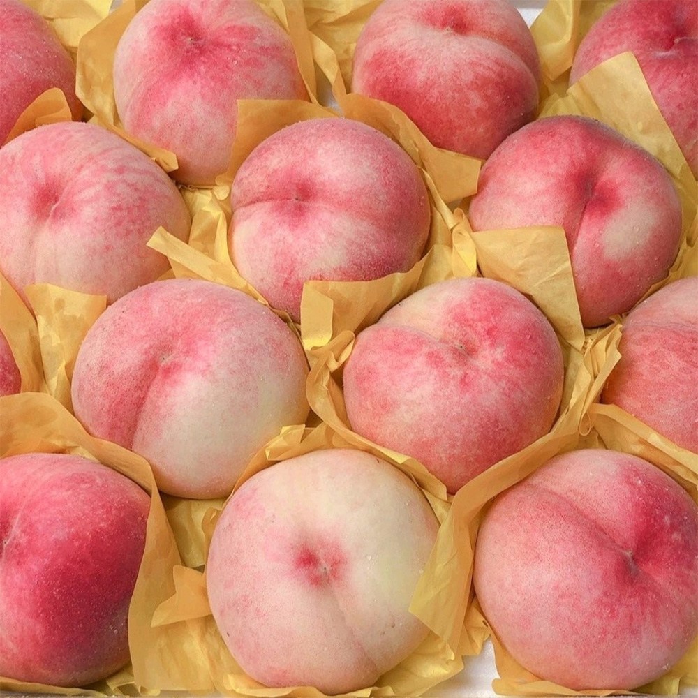 품목 사진 [1개만사도 무배] 경북 말랑이 털복숭아 4kg(22-26과) 황도/백도 랜덤발송