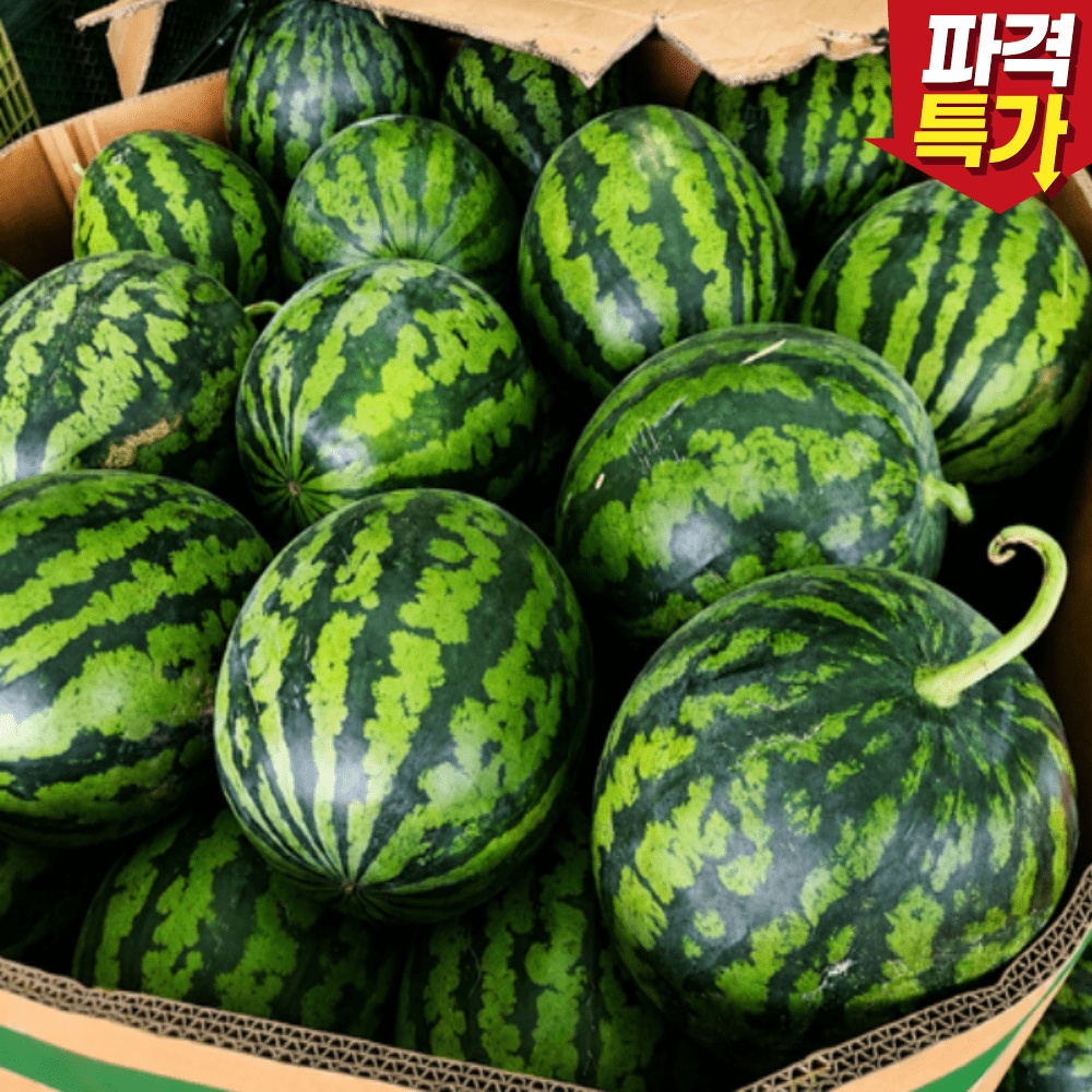 TEMU 수분가득 꿀당도 가정용 수박