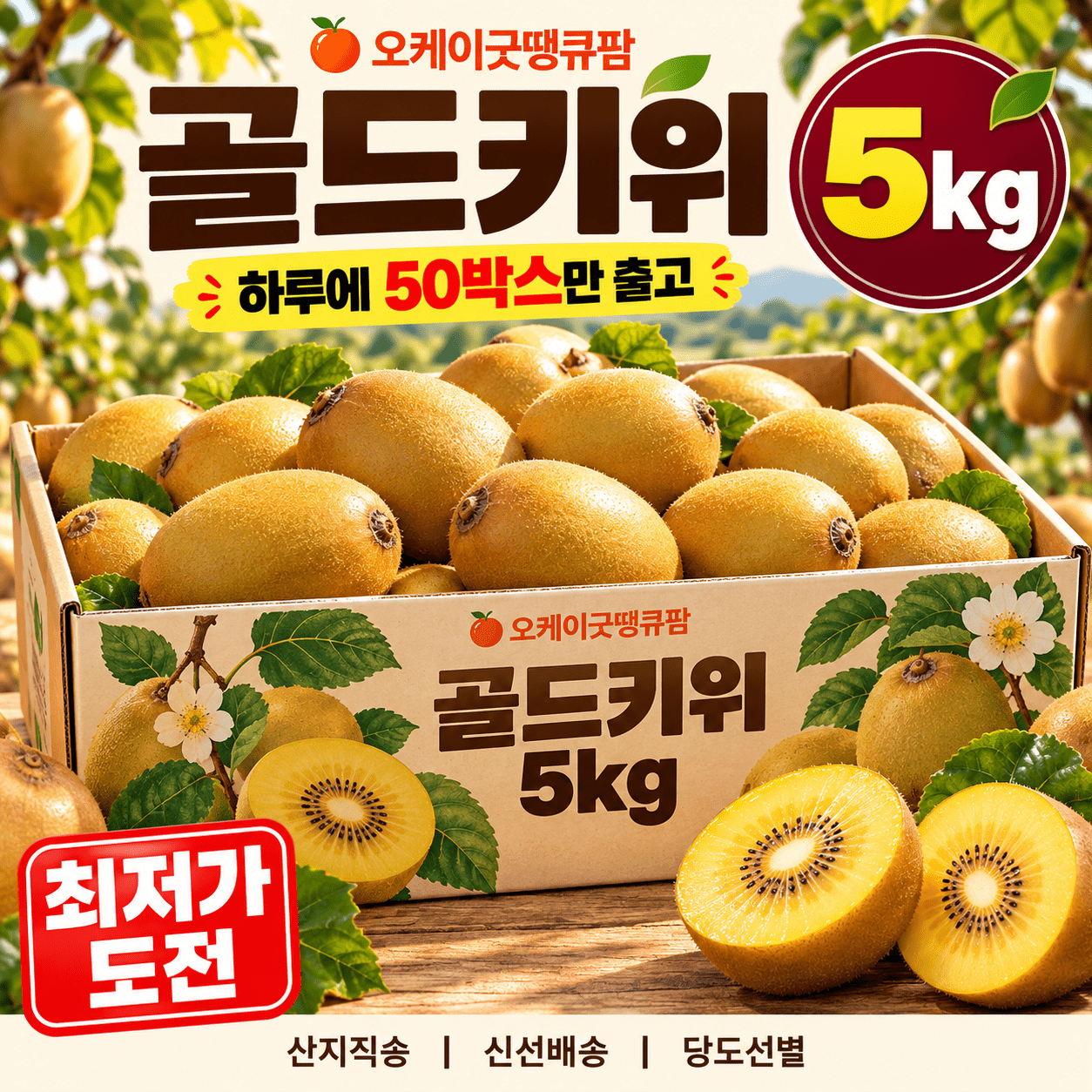 [시크릿특가] 산지직송 골드키위 5kg