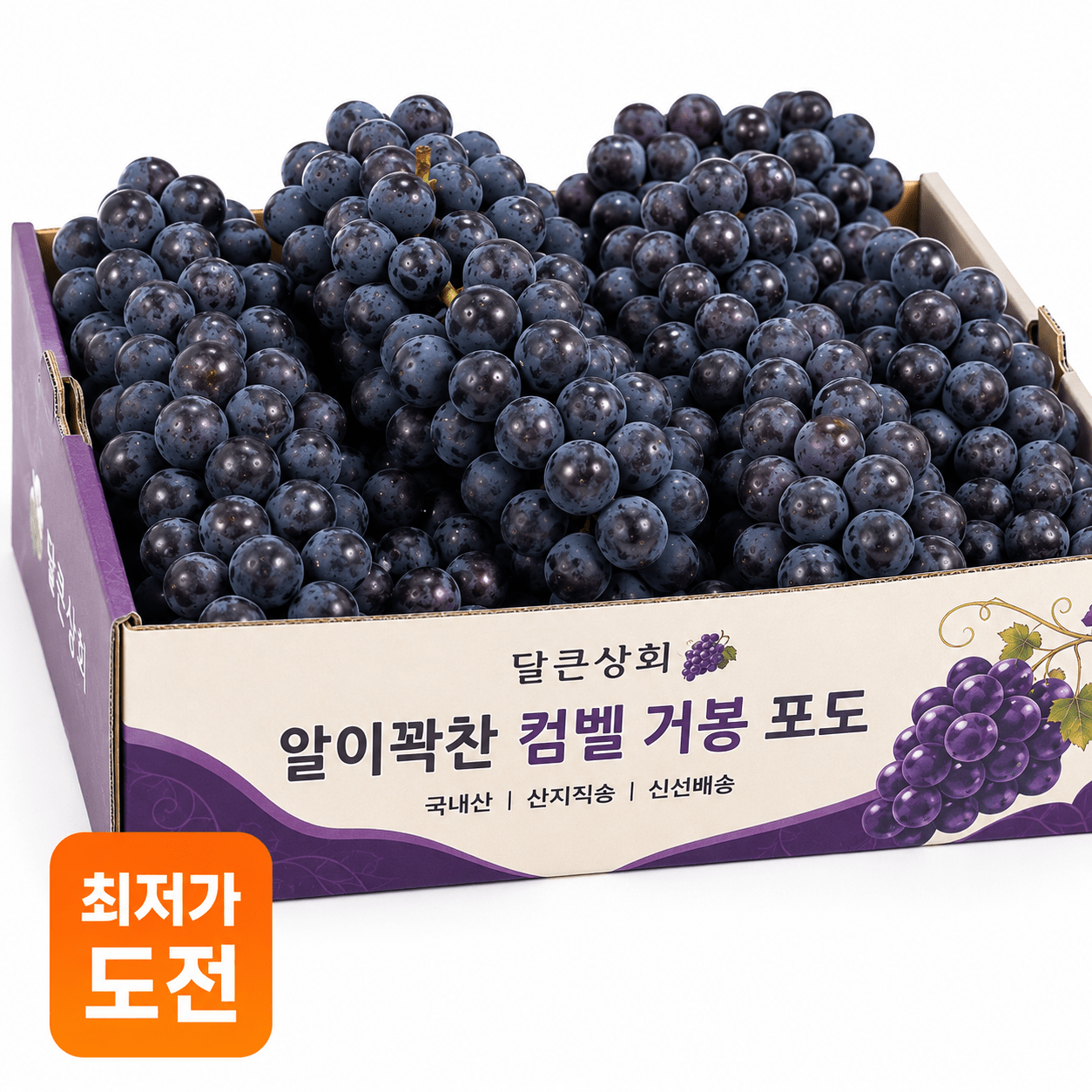 품목 사진 [새벽수확]   진한 거봉 499g 달콤과즙 여름포도