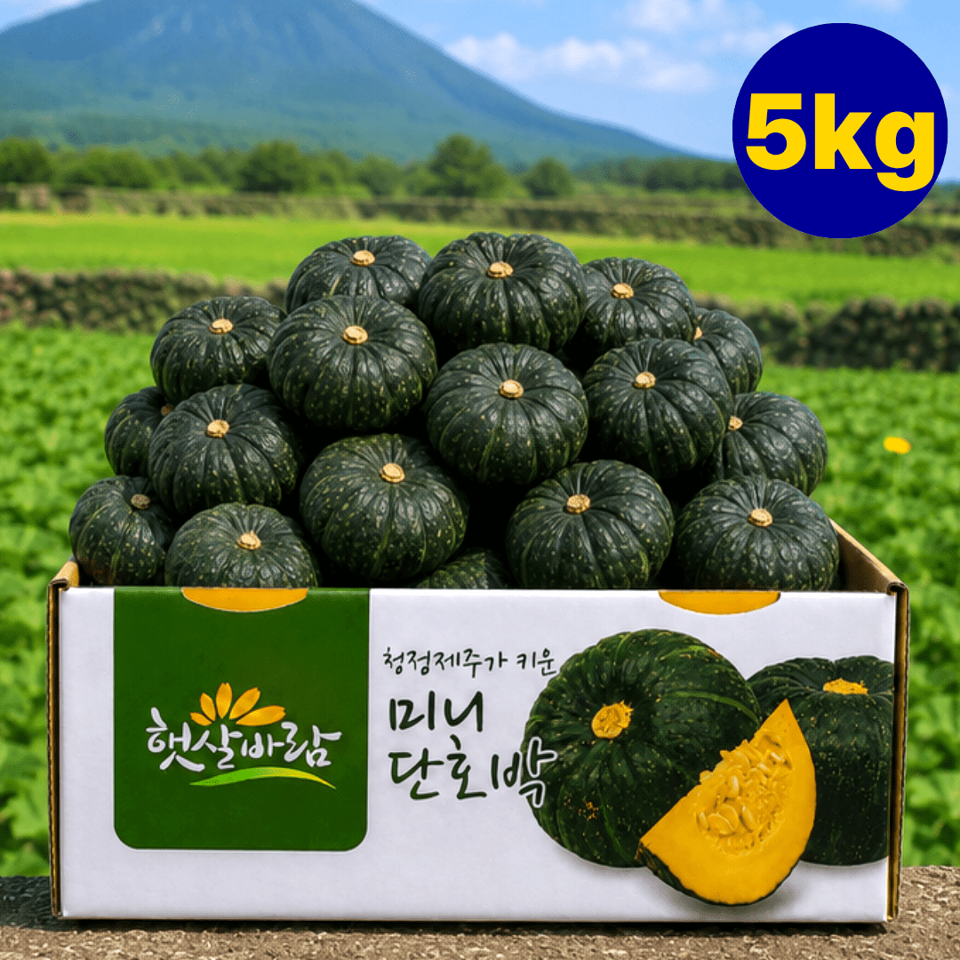 품목 사진 [무료배송] 포슬달큰한 제주산 보우짱 단호박 밤호박 5kg