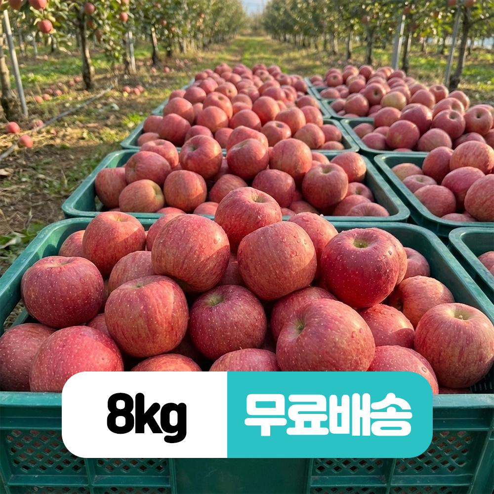 품목 사진 [무료배송/8kg] 경북 꿀 부사사과 행사