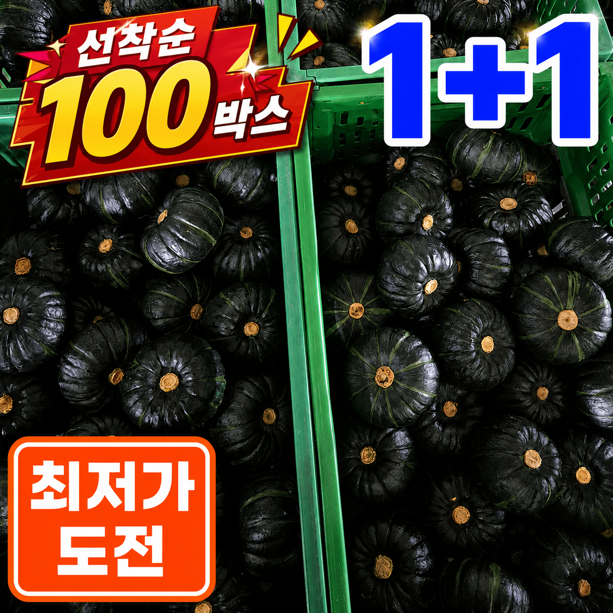 품목 사진 [5kg 1+1] 하루100박스만 특별할인 제주 못난이 밤호박 5kg 1+1 / 총 10kg로 합배송
