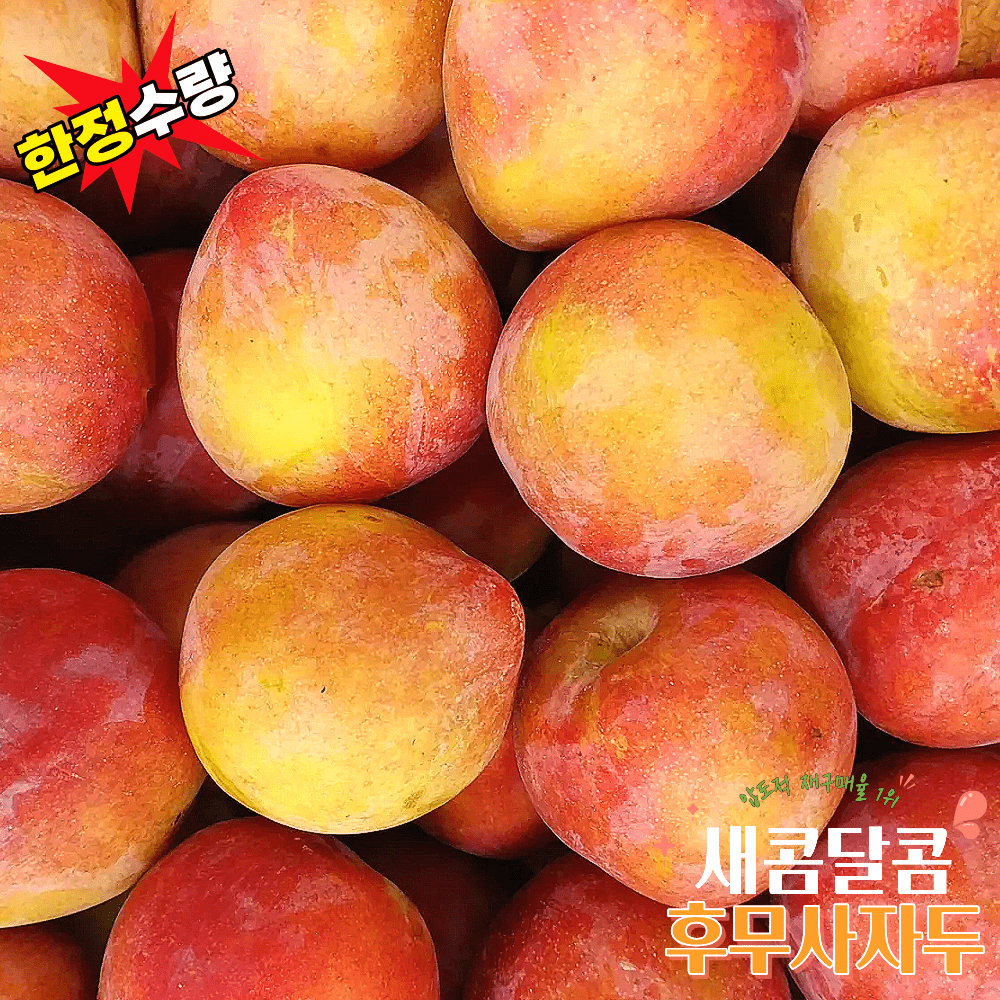 품목 사진 [신선보장]   초고당도 후무사자두 5kg