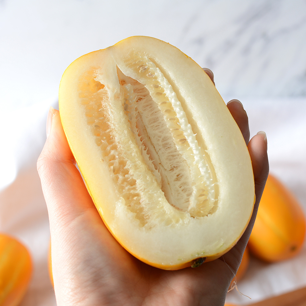 [무료배송] 시즌종료임박 산지직송 고당도 가정용 꿀 참외 8kg (사이즈랜덤혼합)