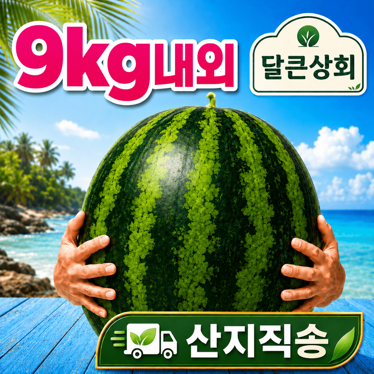 빅사이즈 여름 수박 특대 가정용 수박 9~10kg