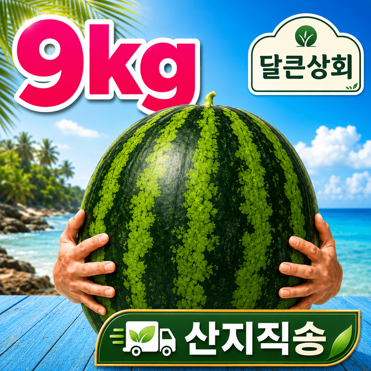 품목 사진 빅사이즈 여름 수박 특대 가정용 수박 9~10kg