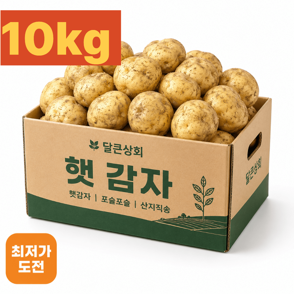 품목 사진 [하루50박스만] 포슬포슬 상태좋은 햇감자 10kg