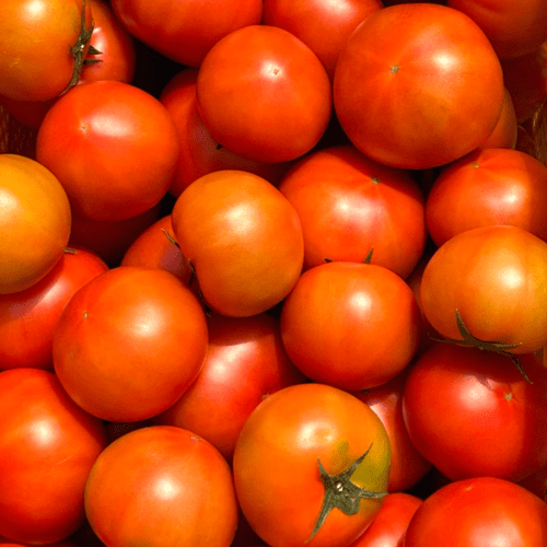 fresh delivery 5kg