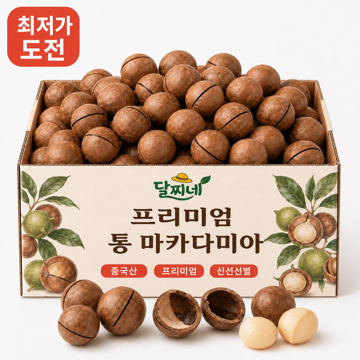 품목 사진 [오늘만초특가] 프리미엄 특++ 특대립 통 마카다미아 200g, 새 탭에서 열기.