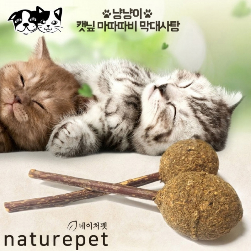 TEMU 네이처펫 고양이 캣닢 마따따비