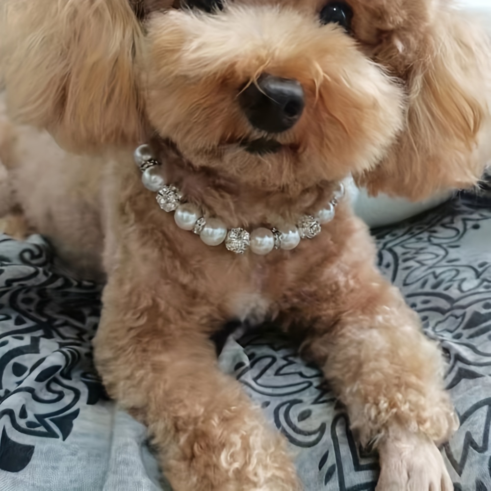 Cute Dog Collar with Bling Rhinestone, Fancy Crystal Diamond Glitter Pretty  Jewel Soft Cat Collars for Small Medium Large Breed Dogs Girl Female Pet