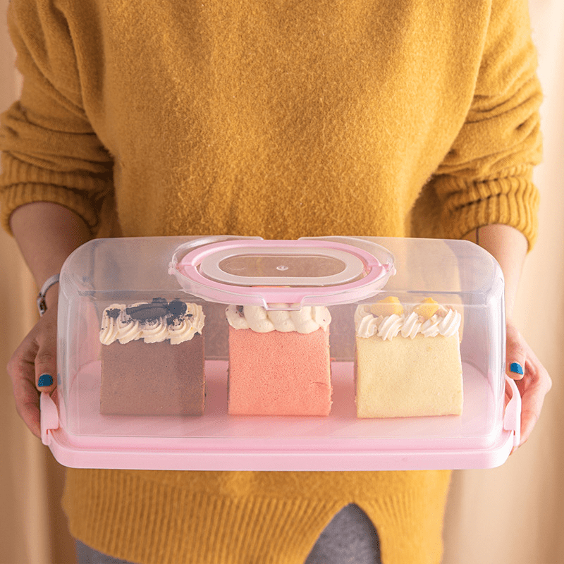 Gondol Idea Rectangular Cake Carrier – Deco Housewares