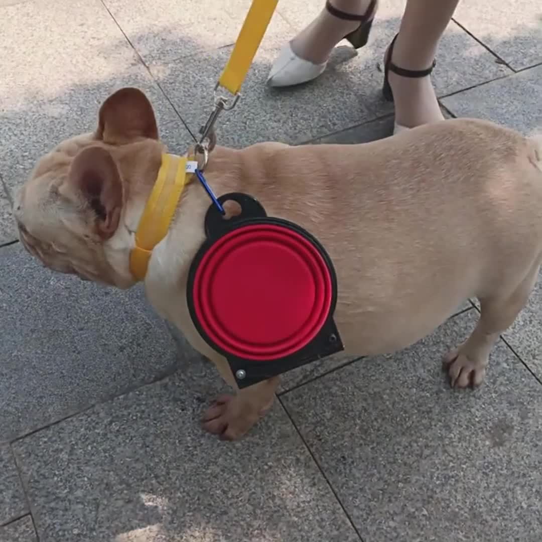 Collapsible Double Dog Bowl Portable Silicone Pet Food Water - Temu