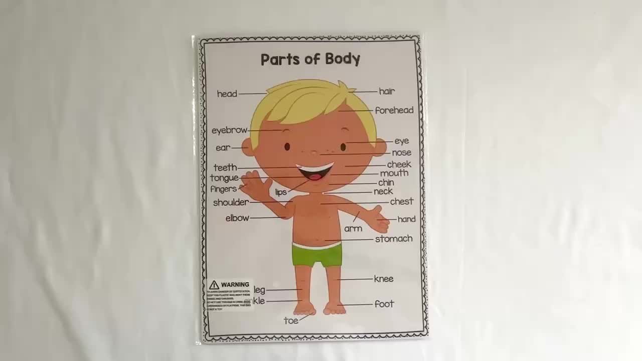 2 Pezzi A4 Corpo Umano Apprendimento Educativo Poster Parti - Temu  Switzerland