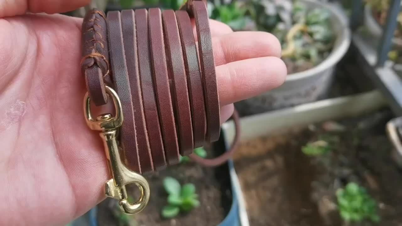 Elegant Lightweight Small Dog Leash with Copper Hook