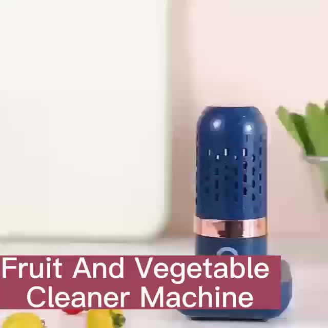Fruit & Vegetable Washer - Vegetables & Fruits Cleaner by Bipin Engineers