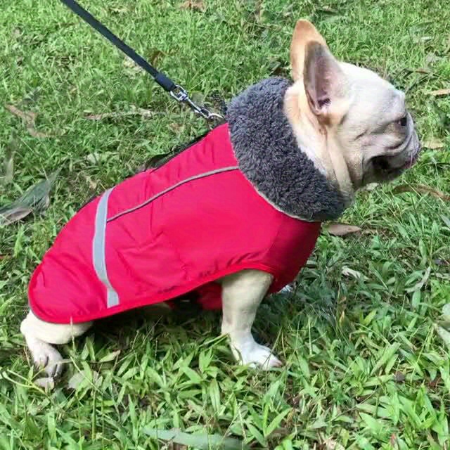 Impermeabile Antivento Cappotti Cani Freddo, Giacche Calde Cani, Abbigliamento  Cani Freddo Cani Piccola Media Grande Taglia Attività Allaperto E Chiuso - Gilet  Cani Riflettente Stile Retrò, Trova Grandi Offerte Ora