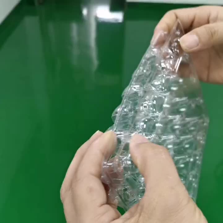 12pcs Quail Egg Packaging Box PET Plastic Holder