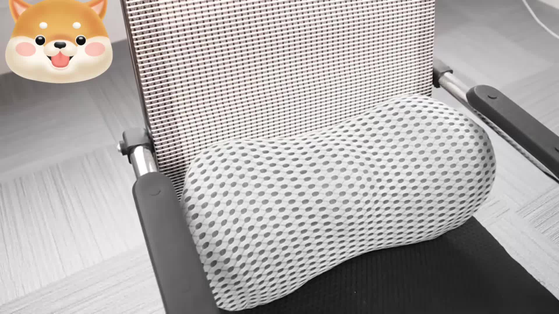 JEMA Memory Foam Lumbar Support Pillow for Office Chair, Car, Bed, for  Lower Back Pain Relief, Great as Lumbar Pillow, Under Knee Pillow, Leg Rest