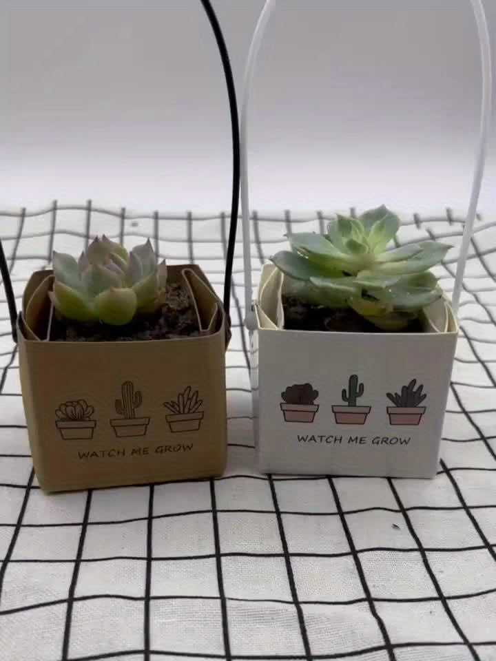 gift 40pcs set mini succulent gift set creative paper - Temu