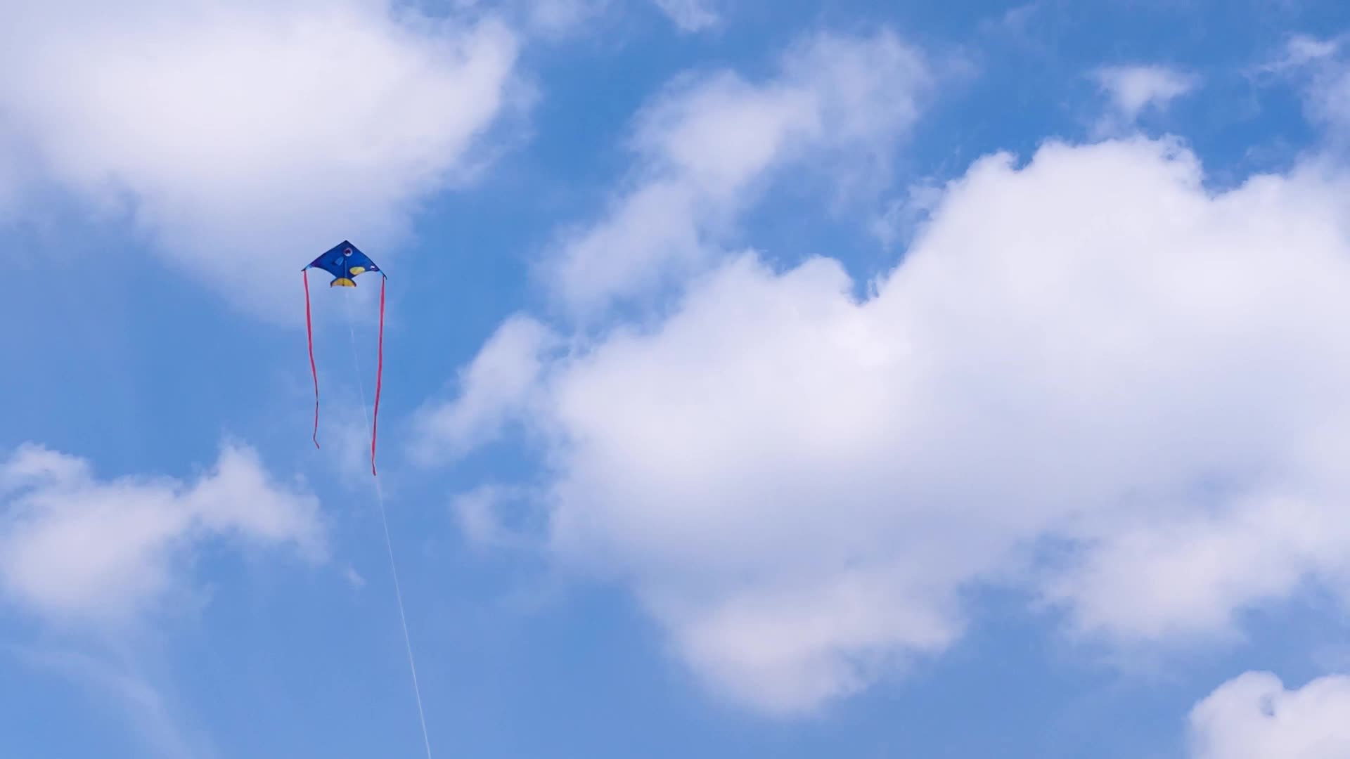 Tropical Fish Kites Delta Kites Beautiful And Interesting Kites