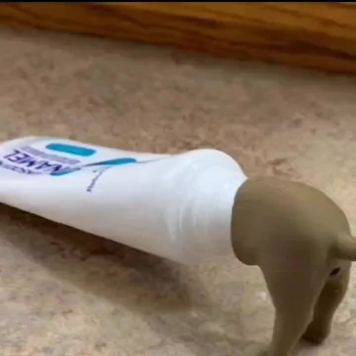Poop Dog Butt Toothpaste Caps - Toothpaste Salve Holder - Prank Gag Gift