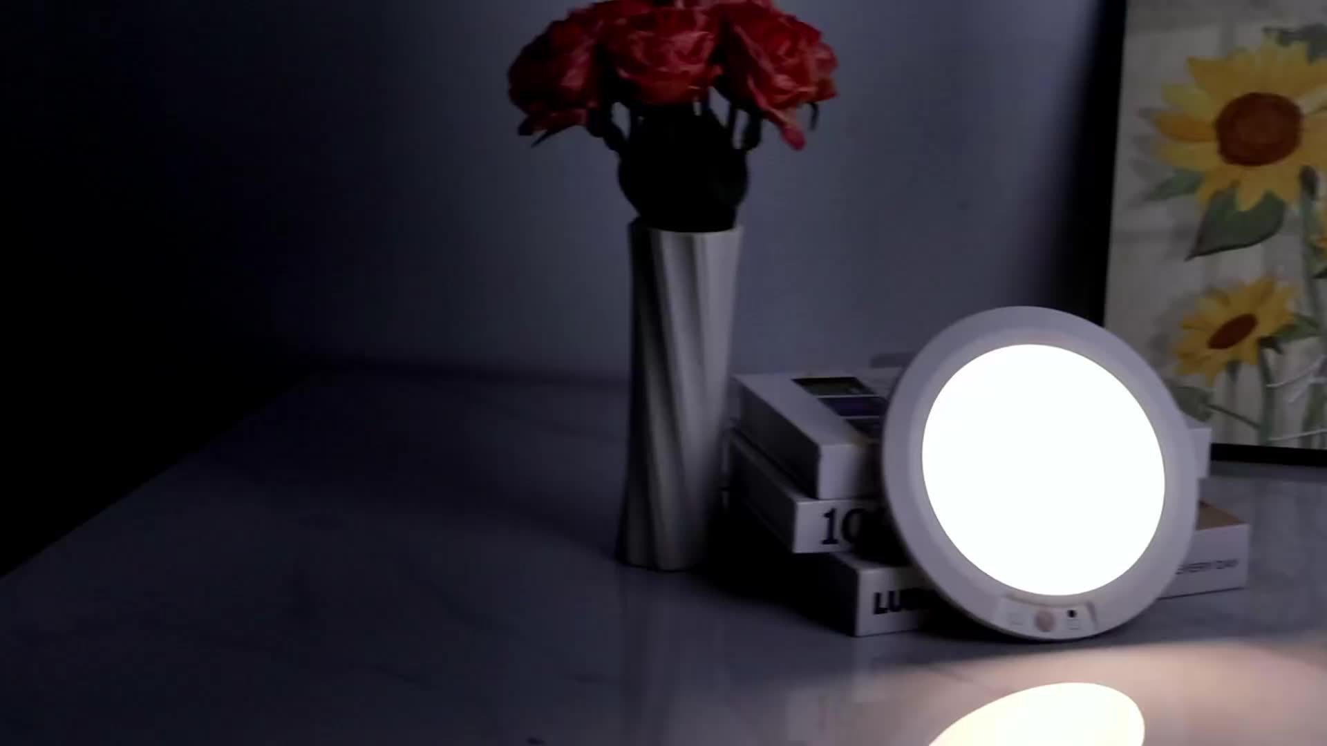 Rechargeable Ceiling Light, Sensor LED Pendant Light