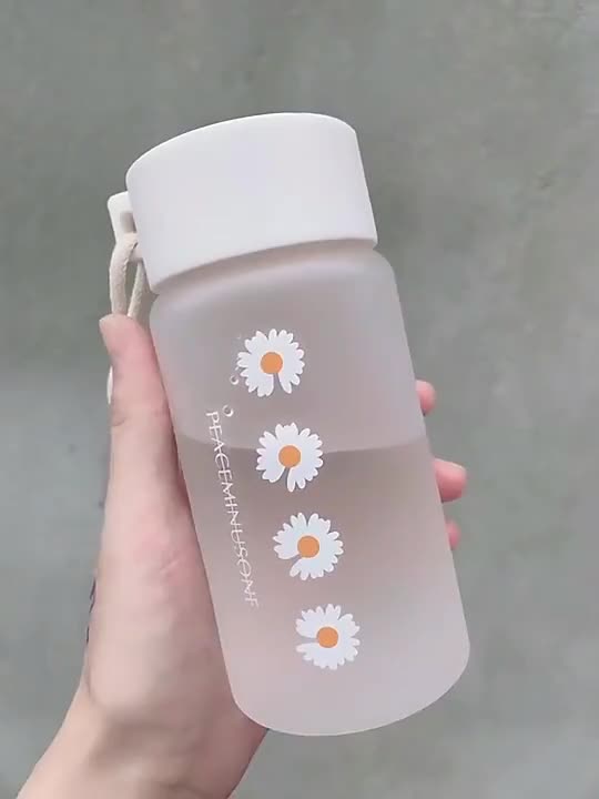 480ml Small Daisy Transparent Plastic Water Bottles BPA Free Creative  Frosted Water Bottle With Portable Rope Travel Tea Cup