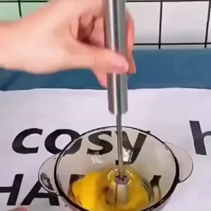 Stainless Steel Multi-Function Whisk and Frother
