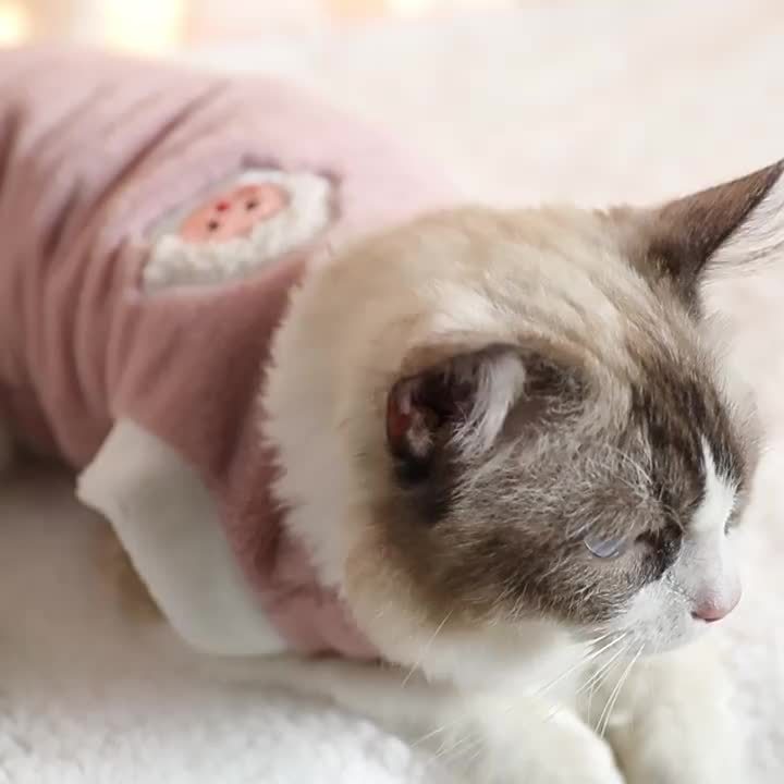 Cute Winter Clothing For Cats, Plush Vest To Keep Cats Warm In Winter,  Prevent Hair Loss - Temu Germany