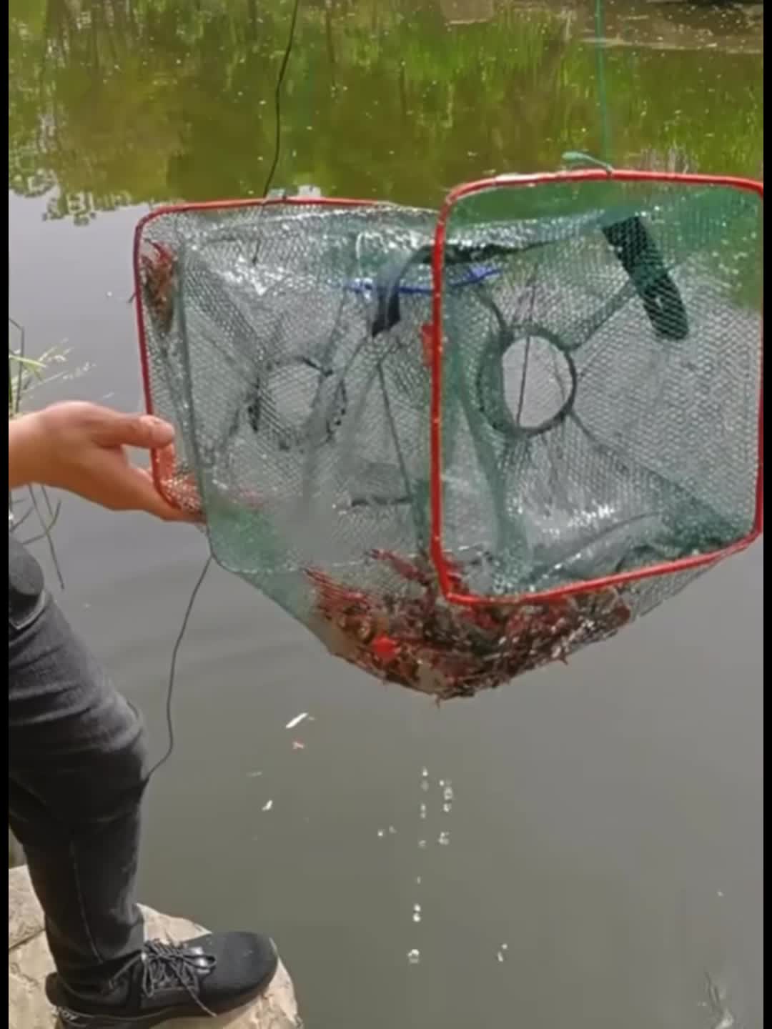 LakeForest Crawfish Crab Fish Trap Foldable Fishing Bait Trap Cast Net Cage  for Catching Small Bait Net Shrimp Minnow Crawdad Fish