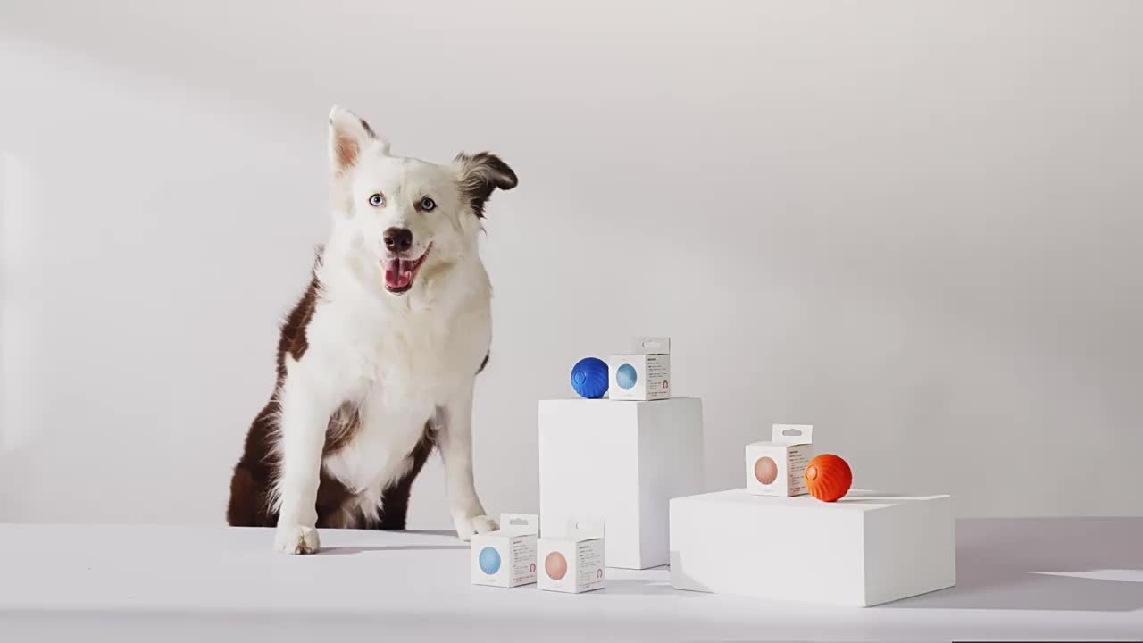 Smart Electric Ball Toy Gravity Jump Balls Dog Plaything Usb - Temu New  Zealand