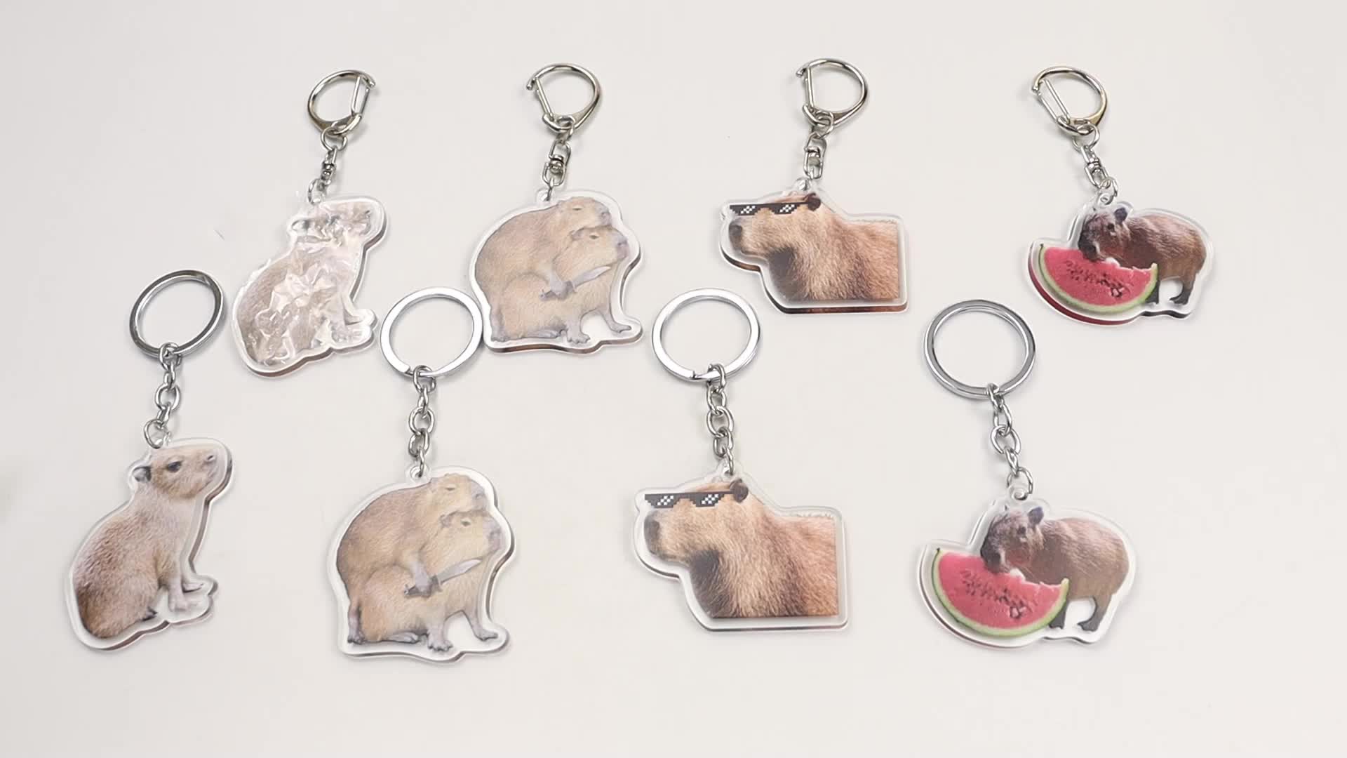  LIANXUE Cute Acrylic Keychain Adorable Capybara Acrylic Keyrings  Lightweight and Durable Keyring for Keys and Bags Accessory Acrylic :  Clothing, Shoes & Jewelry