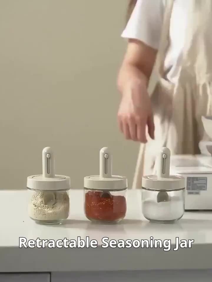 Spice Storage Box for Fresh and Organized Seasonings