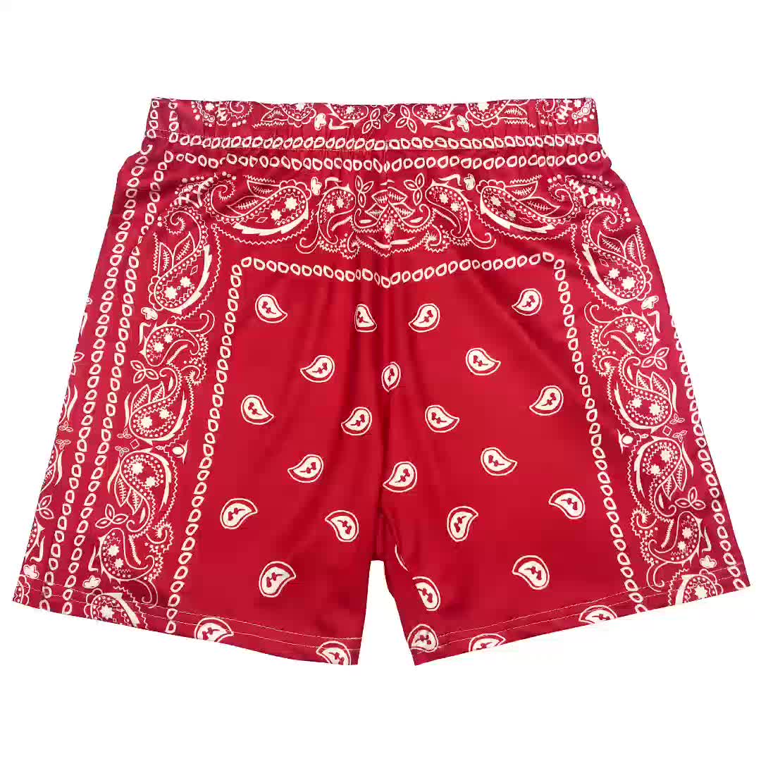 Paisley Print Two piece Set Crop Cami Top & Slim Shorts