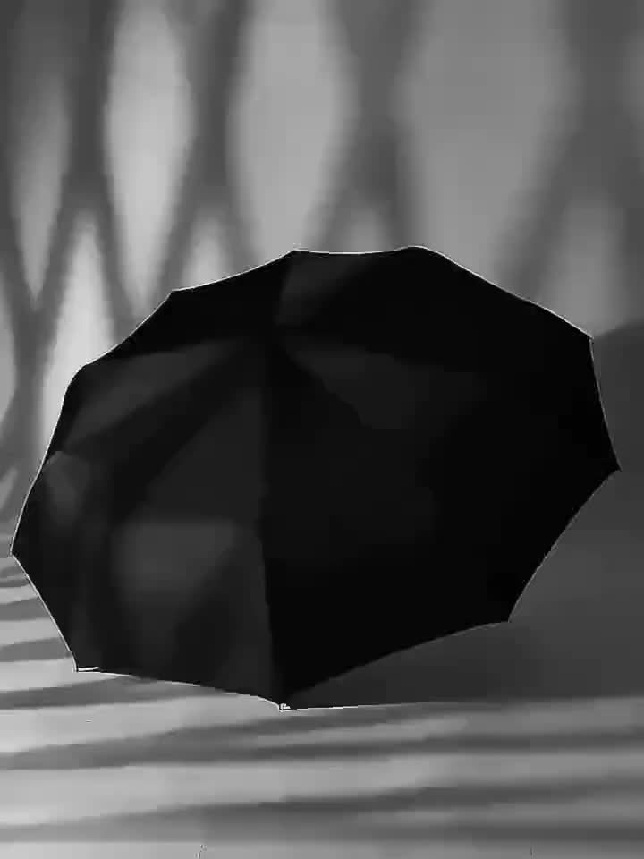 High-Quality 10-Rib Automatic Tri-Fold Design