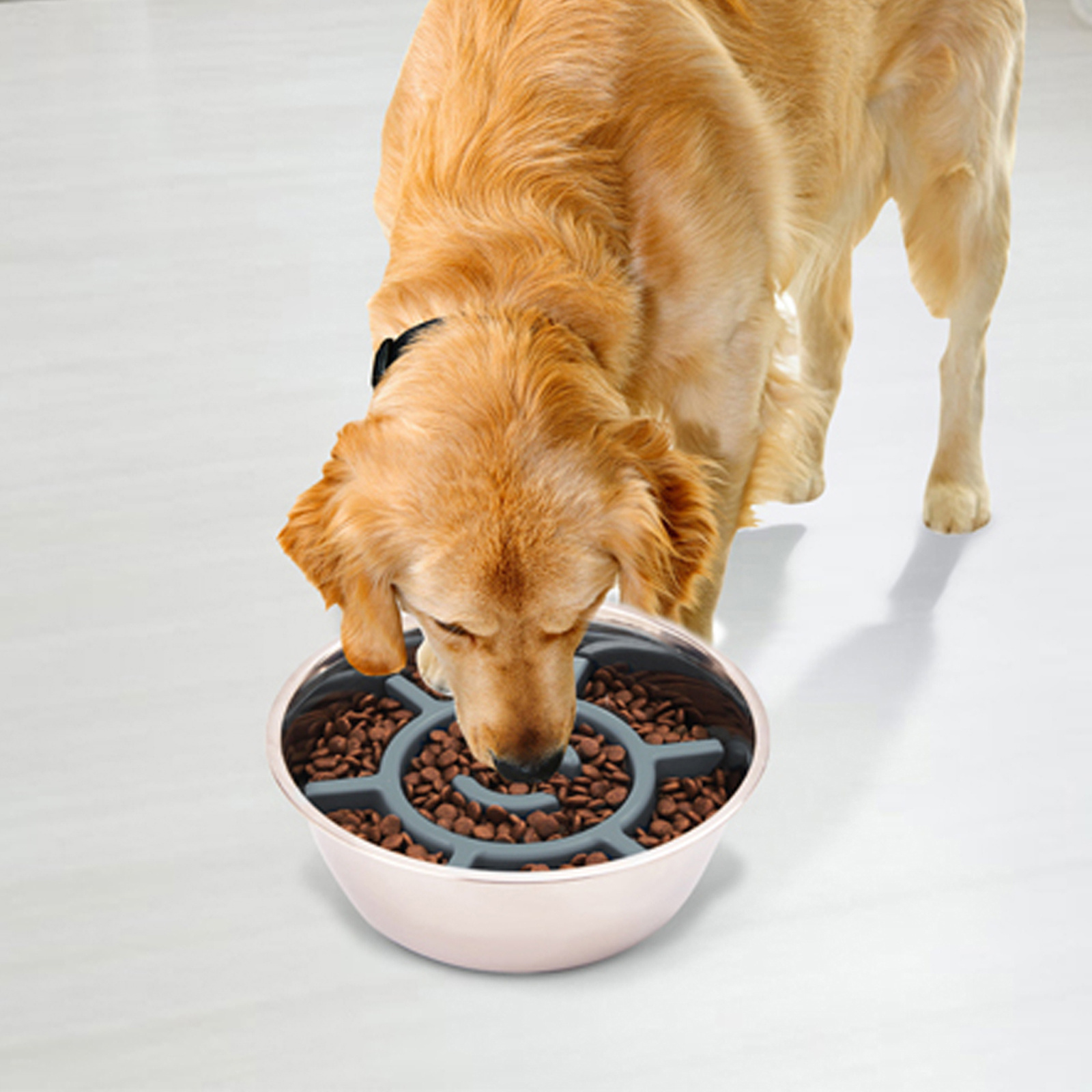 Slow Feeder Dog Bowl Food grade 304 Stainless Steel Dog Bowl - Temu