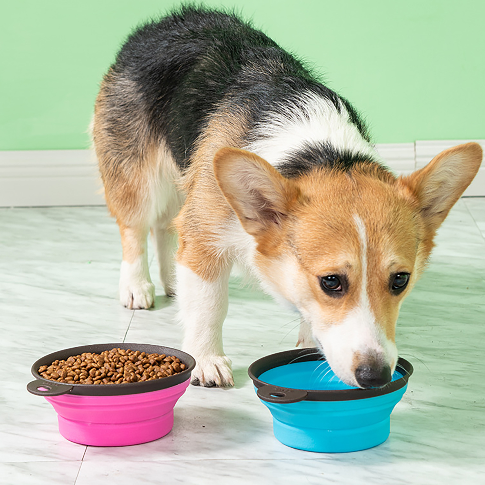 

1pc Portable Collapsible Dog Bowl With Keychain, Plastic Pet Travel Feeding Dish, No Battery Required