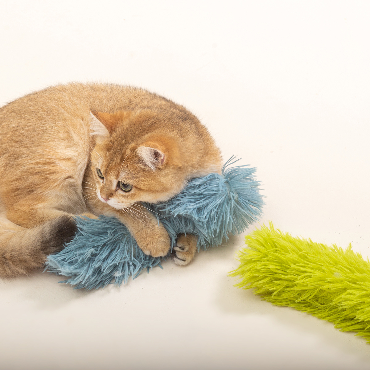 1 unidad de juguete de gato de peluche de Color aleatorio - Temu